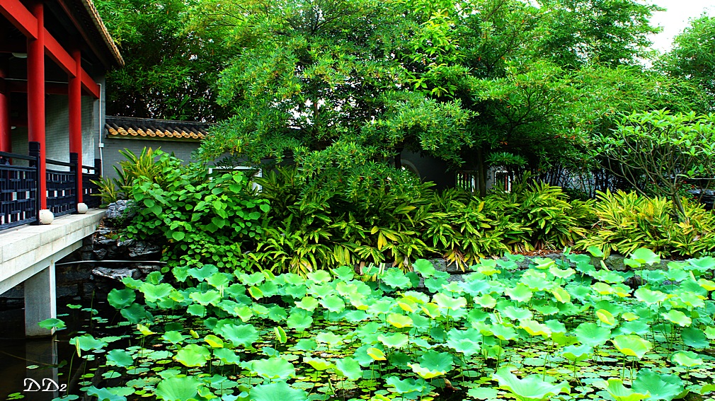 http://i.dcview.tw/gallery/201205/857ac4281527a17f50baa6f6eec9df80.jpg