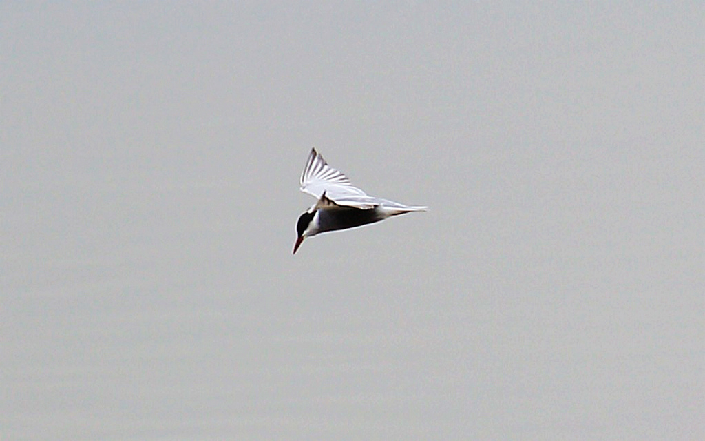 http://i.dcview.tw/gallery/201205/873f4117b8ba9014d74b6320e5fc484f.jpg