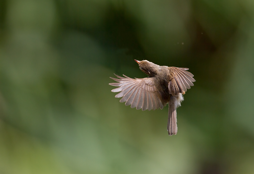 http://i.dcview.tw/gallery/201205/8907d161caad853a40be1b65bb242a5d.jpg