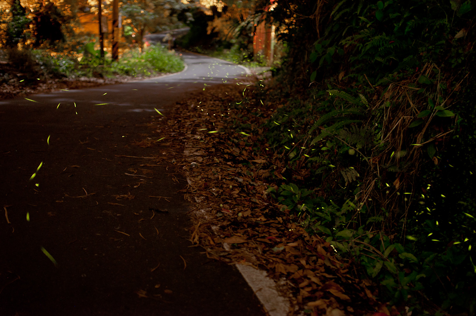 http://i.dcview.tw/gallery/201205/8ccafec416816a65e7cce4c4ac5ebe9c.jpg