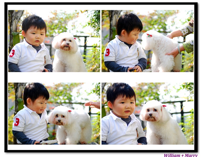 http://i.dcview.tw/gallery/201205/9636cb6021b61160f95d8c941243632c.jpg