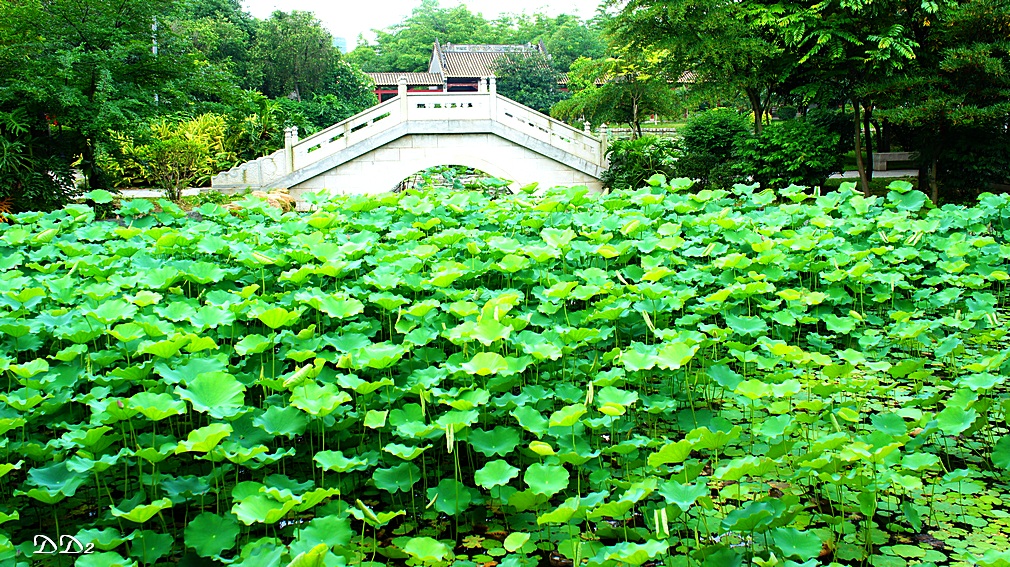 http://i.dcview.tw/gallery/201205/98a984ff0c154deba713dcdcb4d20a07.jpg