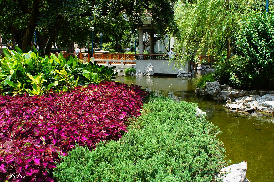 http://i.dcview.tw/gallery/201205/9a94137ca6e88b1a91c05d3020d98dd1.jpg