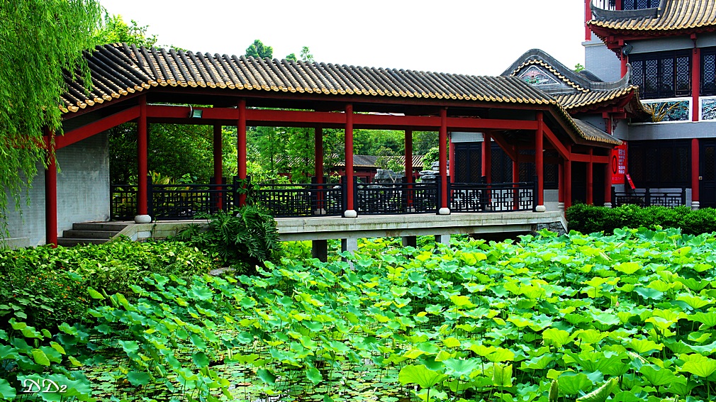 http://i.dcview.tw/gallery/201205/9c4da6a1ccbd25ccaab8ef806280f813.jpg