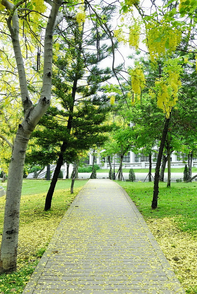 http://i.dcview.tw/gallery/201205/9e7a8c0ef21f7eb60349beda909f4b13.jpg