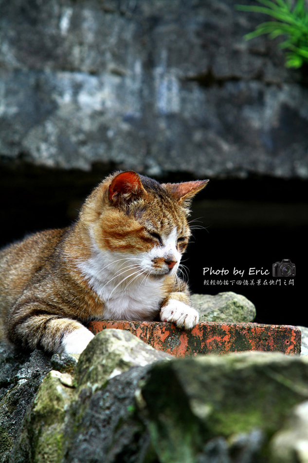 http://i.dcview.tw/gallery/201205/a6ede6f6ef6519d13cb027b350c936a4.jpg