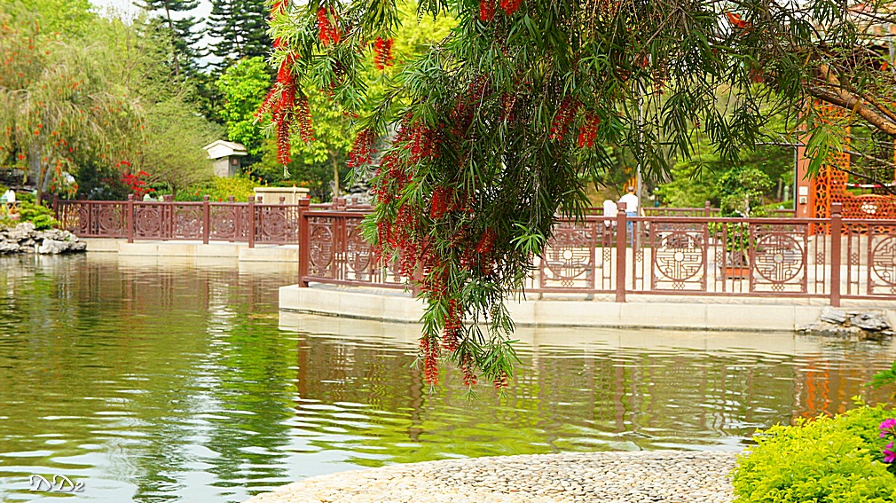 http://i.dcview.tw/gallery/201205/a8929e606e488f793f3a59d18c849206.jpg