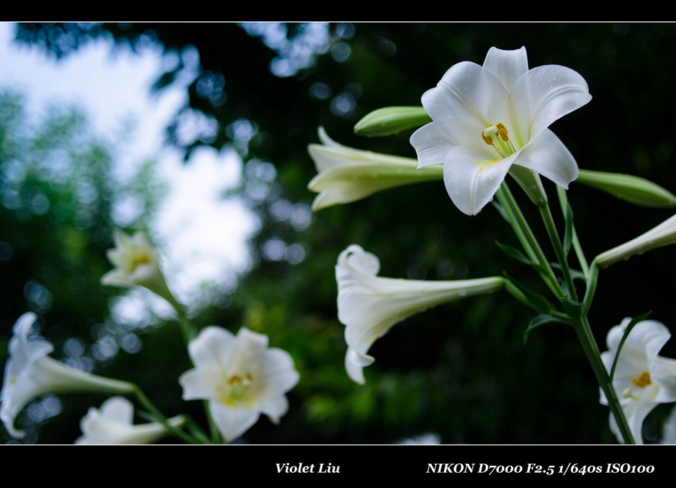 http://i.dcview.tw/gallery/201205/aa66d83213b565cb13afebdbd1b6d2f5.jpg