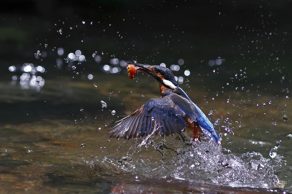 http://i.dcview.tw/gallery/201205/adcb9695b87e107adbfb844ef9f44092.jpg