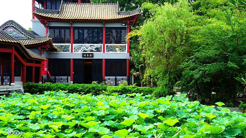 http://i.dcview.tw/gallery/201205/b2a33446d13ce98aa7802b716e29ae6a.jpg