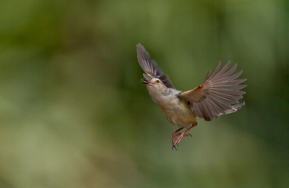 http://i.dcview.tw/gallery/201205/b5d71afeca53910b2be355bc05e67aae.jpg