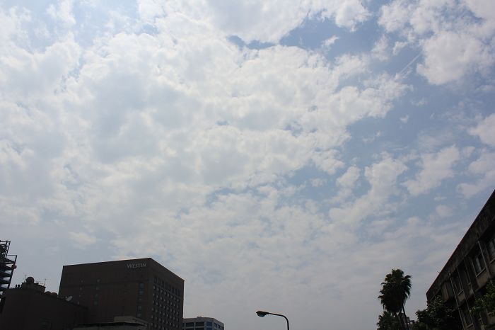 http://i.dcview.tw/gallery/201205/b6a10442c484df571231f7b7b36b21cb.jpg