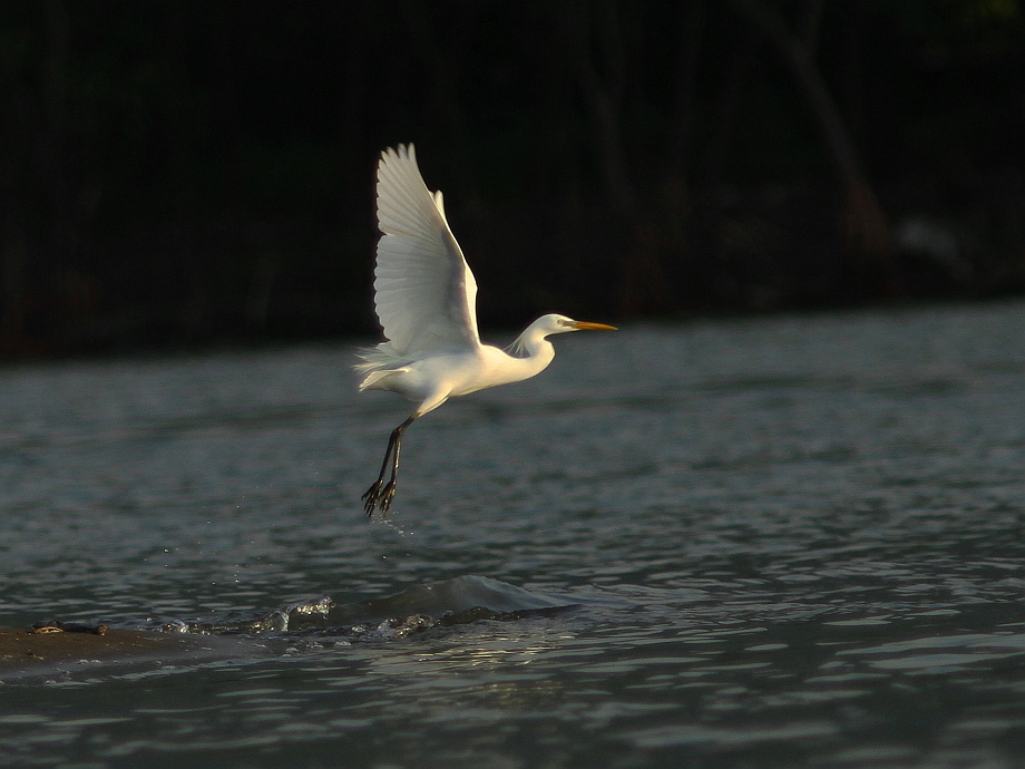 http://i.dcview.tw/gallery/201205/b865ea253c87d1383e0852aff3bcfe31.jpg