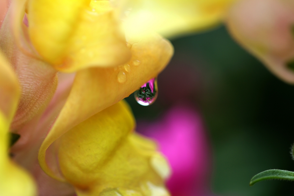 http://i.dcview.tw/gallery/201205/b9131179238fe5841bbde6a813db860a.jpg