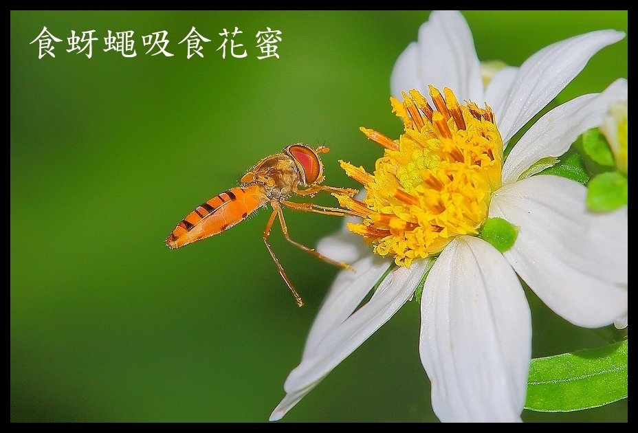 http://i.dcview.tw/gallery/201205/b9e2c354e92809a6ac4ed8e1fbd351c0.jpg