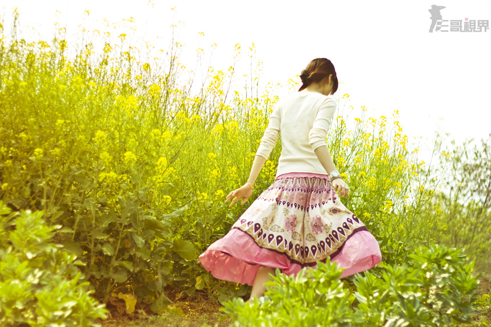 http://i.dcview.tw/gallery/201205/baf413a66a21380d48df372a15c73c09.jpg