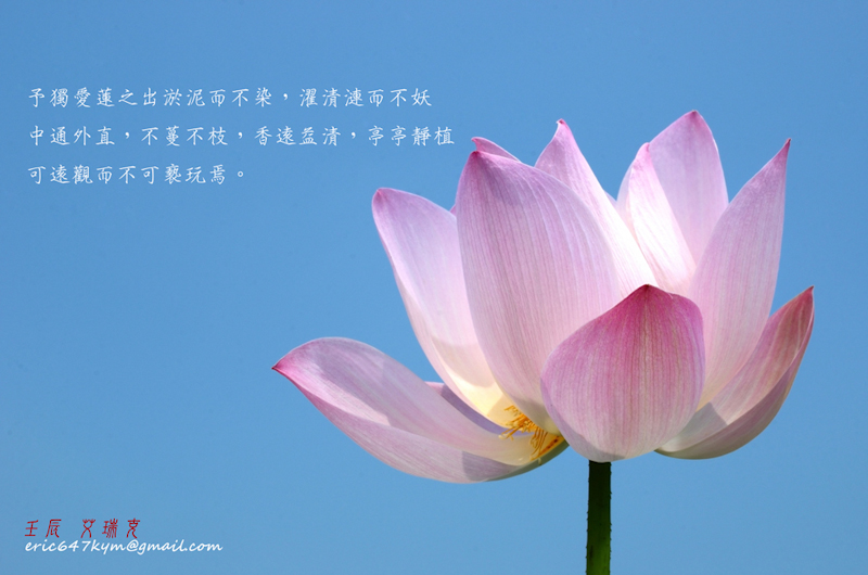 http://i.dcview.tw/gallery/201205/bcc2ad3e2d15f38892336bdd02e964ca.jpg