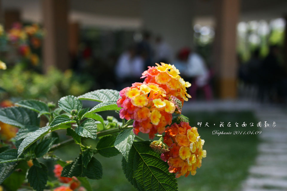 http://i.dcview.tw/gallery/201205/bd10e82fdf3d60a42d75efd37363e20a.jpg