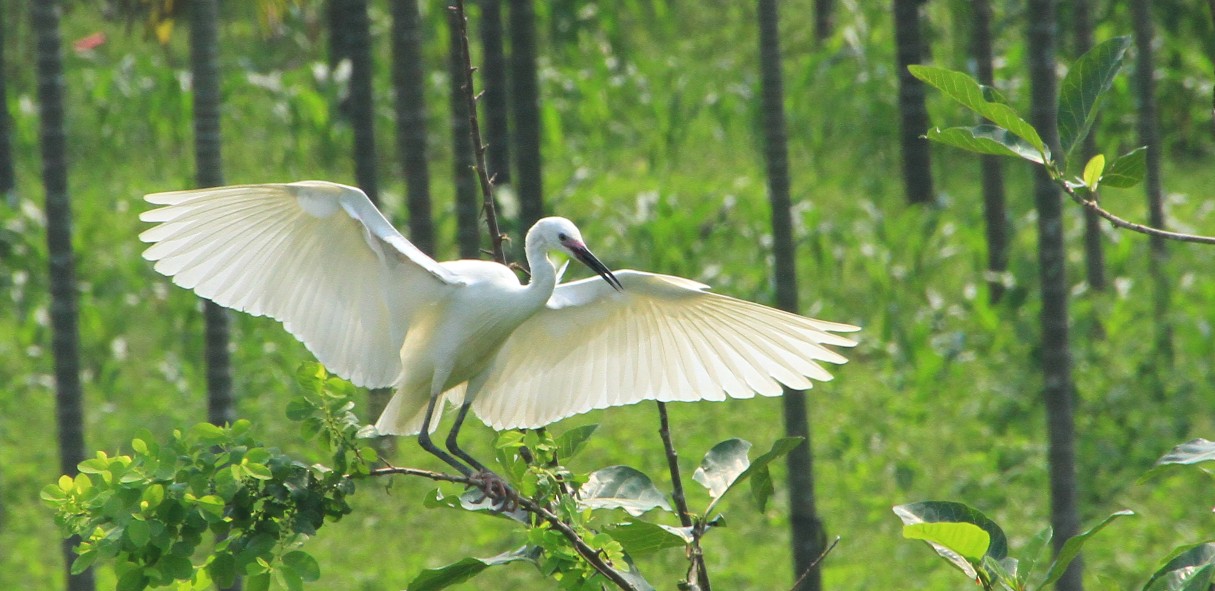 http://i.dcview.tw/gallery/201205/c1a1e67a44d7b7c83243d78cdc1ae5d9.jpg