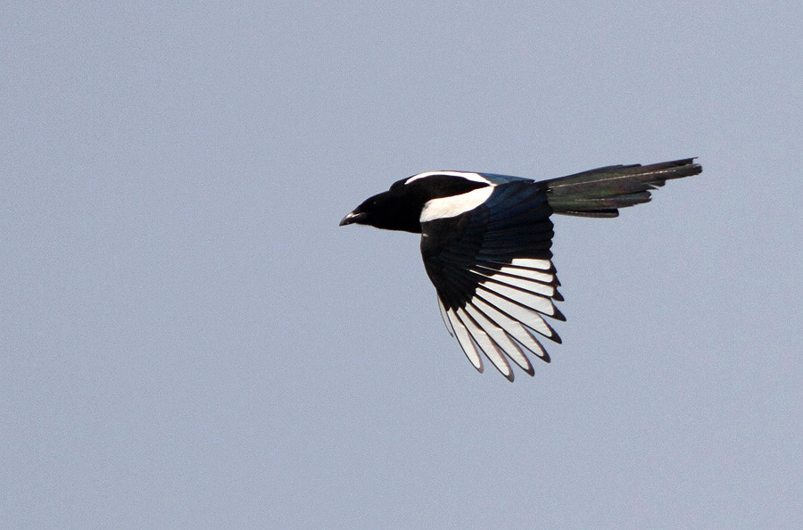 http://i.dcview.tw/gallery/201205/c4ab46e12b512465a68b0f8e441e0065.jpg