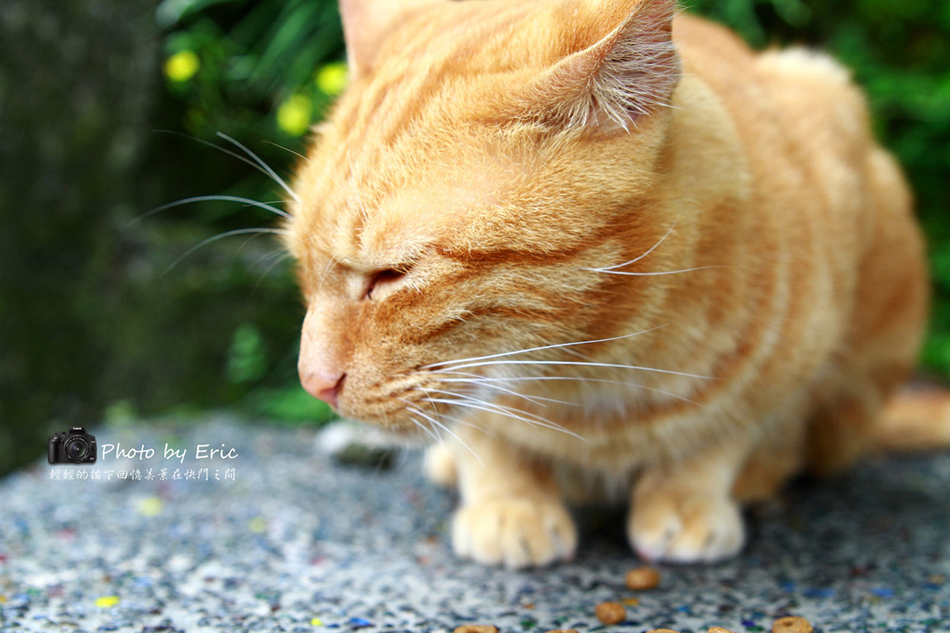http://i.dcview.tw/gallery/201205/c8e37e7c0b3a63ca16110664e1a41f43.jpg