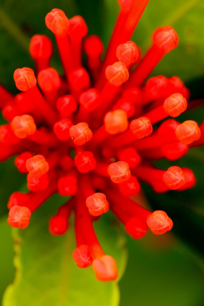 http://i.dcview.tw/gallery/201205/c926574d98250b0c190ff99d1d9c0aec.jpg