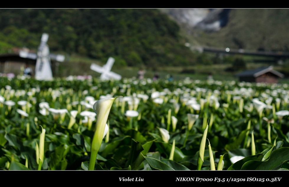 http://i.dcview.tw/gallery/201205/ca6106eb16bcb96c424e252679c82e45.jpg