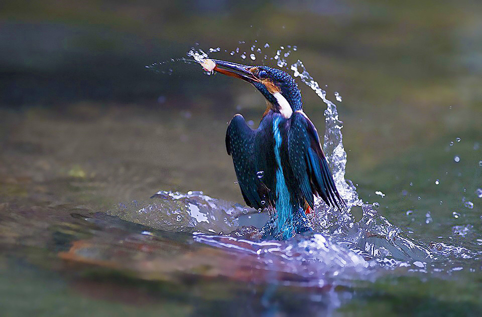 http://i.dcview.tw/gallery/201205/cc460c1a57bce85e42c480d05958ef7f.jpg