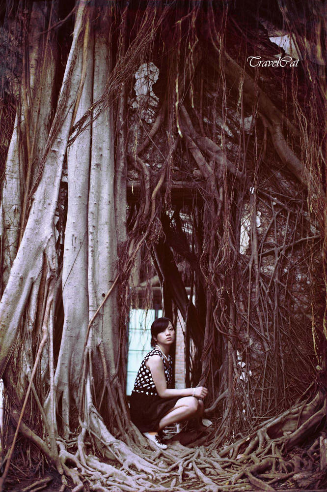 http://i.dcview.tw/gallery/201205/d280cf269eb621f16eff6787d1bd68ae.jpg