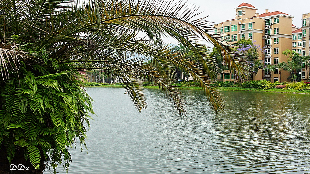 http://i.dcview.tw/gallery/201205/d4c604f8197a3455f5b8187694d5d6c7.jpg