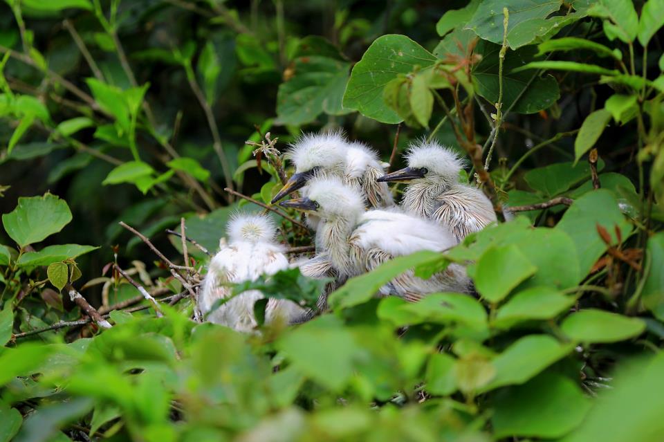 http://i.dcview.tw/gallery/201205/d6d20a74debb761e82ef63519fde183a.jpg