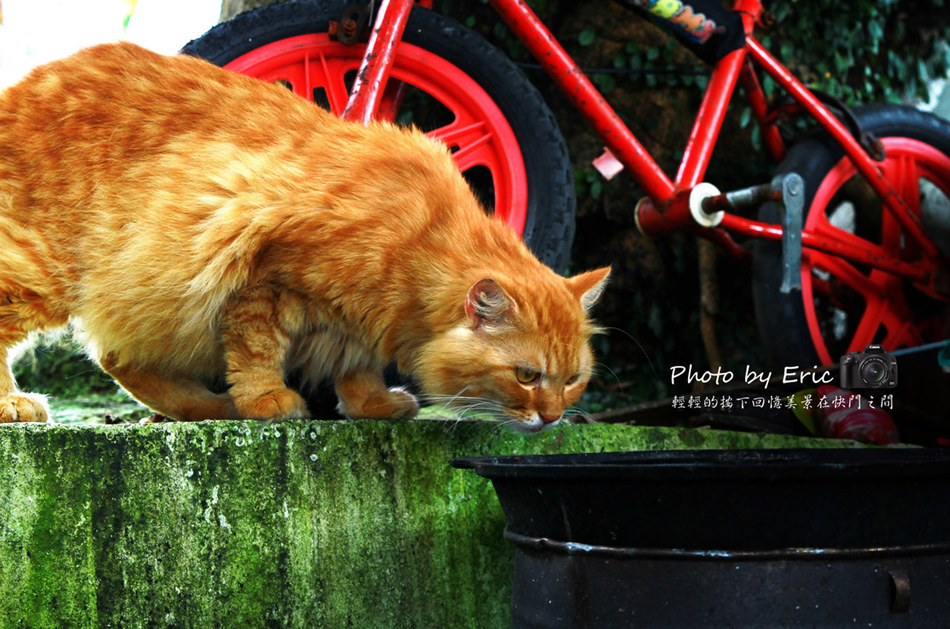 http://i.dcview.tw/gallery/201205/d76e1a9414b59a7438276e1cf16a8df9.jpg
