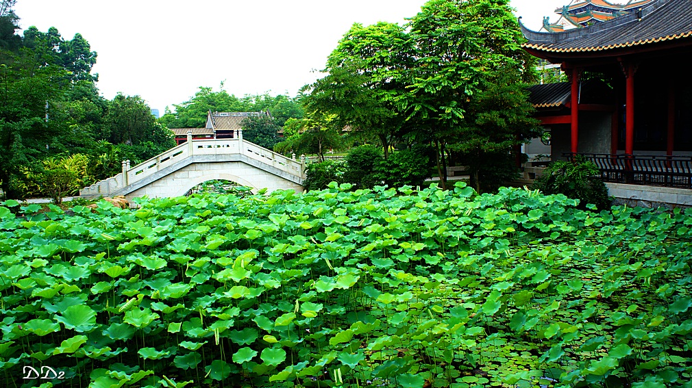 http://i.dcview.tw/gallery/201205/d94478ea132305aa6bb255d2eb8fce27.jpg