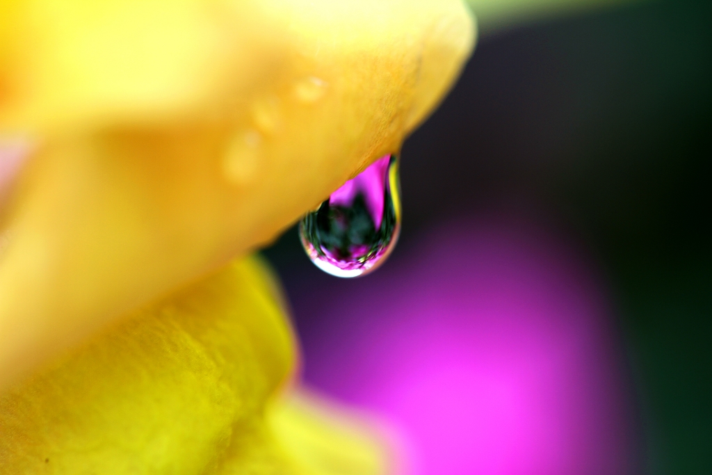 http://i.dcview.tw/gallery/201205/e22592b7ccc437e610a41b4156fd912d.jpg