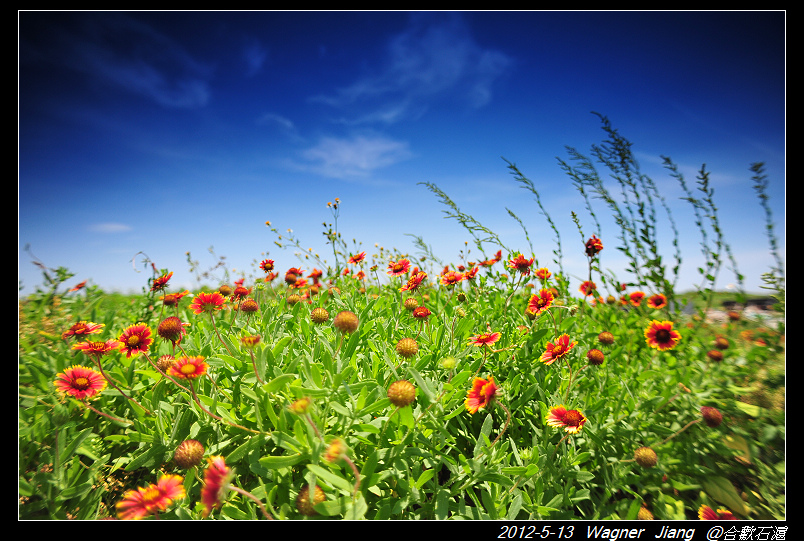 http://i.dcview.tw/gallery/201205/e381f4faddb68c6daabb4a81abb32f7e.jpg