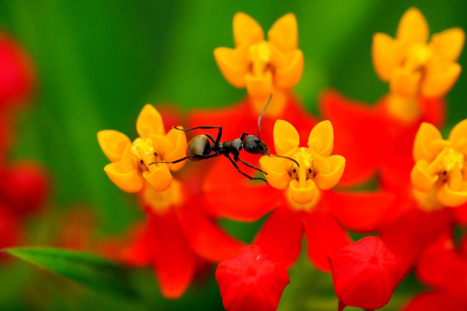 http://i.dcview.tw/gallery/201205/e3b579eee47a6a7d0f4df295d405e3ab.jpg