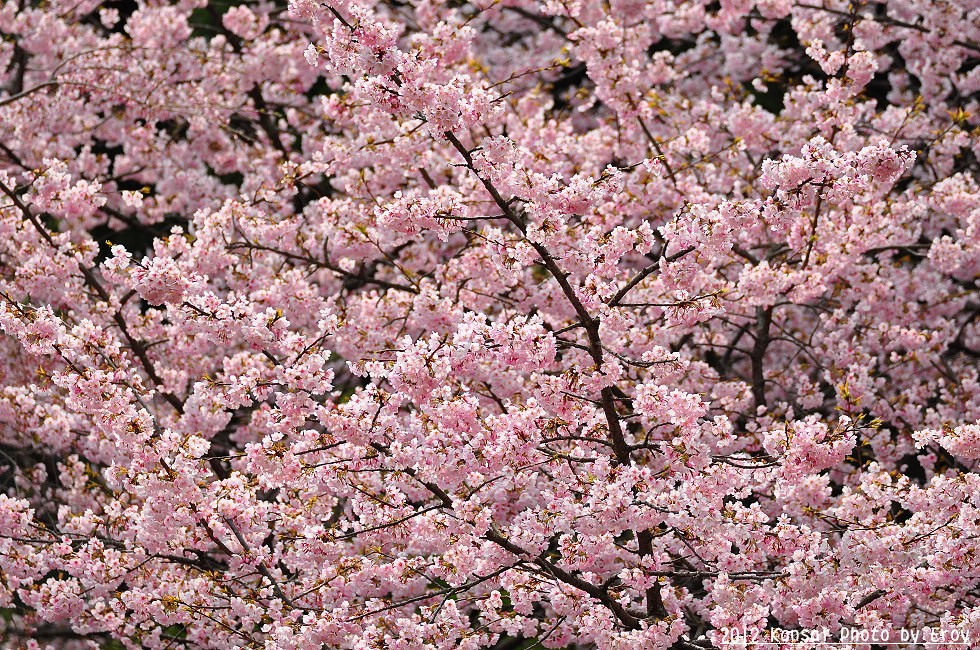 http://i.dcview.tw/gallery/201205/e4e06ef61abd91039aadcaaf7a83dc3a.jpg