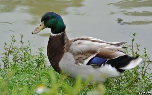 http://i.dcview.tw/gallery/201205/e7eec7bfe5d8008d035e5fd80de6e31b.jpg