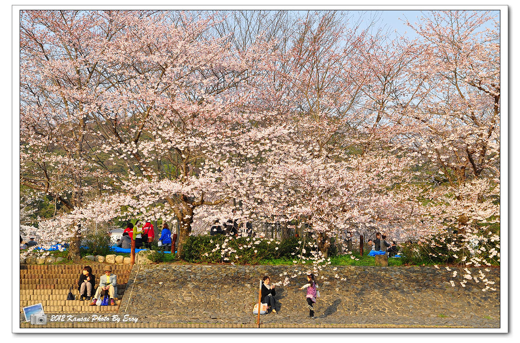 http://i.dcview.tw/gallery/201205/e9fdaddd9cd2f1d0791f0abe3fd23301.jpg