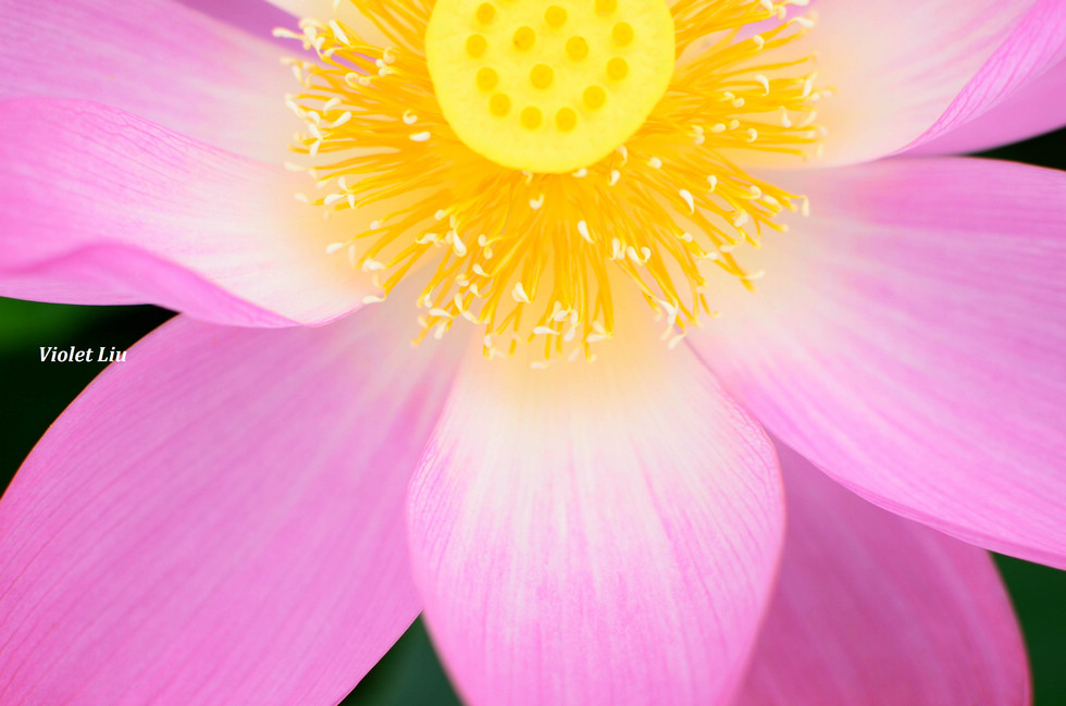 http://i.dcview.tw/gallery/201205/ea2f38b08b05125af62a691de4a9355c.jpg
