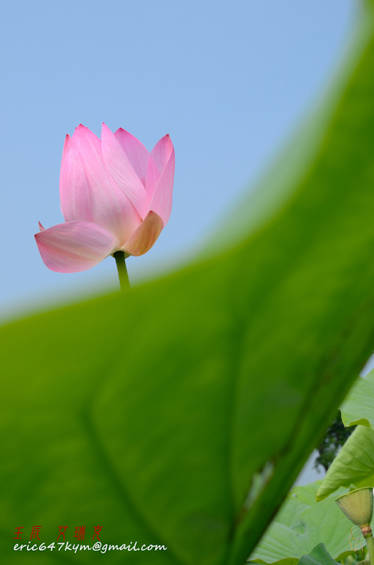 http://i.dcview.tw/gallery/201205/ea7cb95978ab31f17e356eeec90302b3.jpg