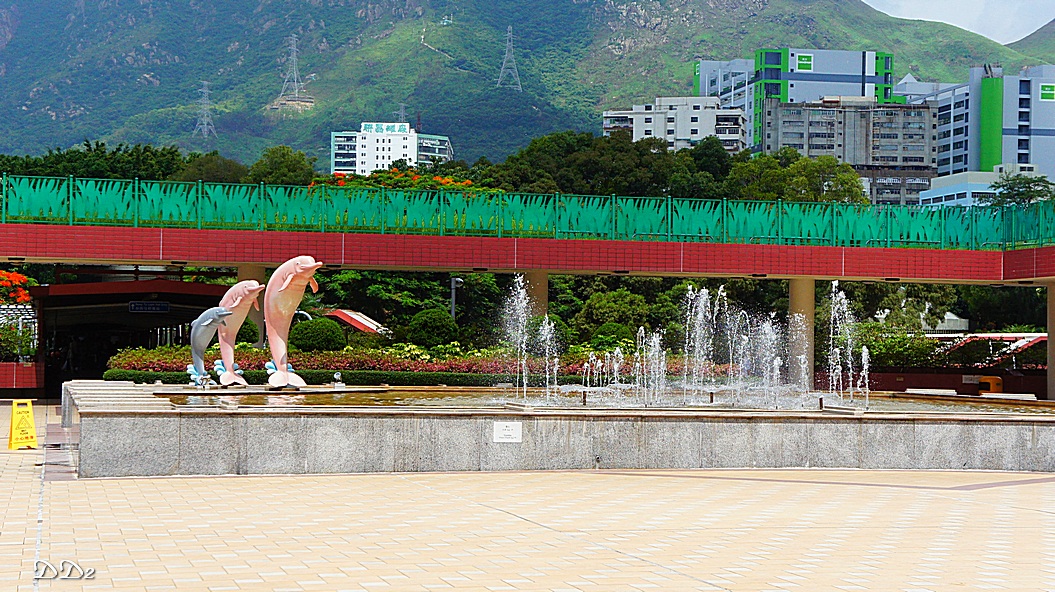 http://i.dcview.tw/gallery/201205/f057da8c6b208bfffdb690aedf2ac155.jpg