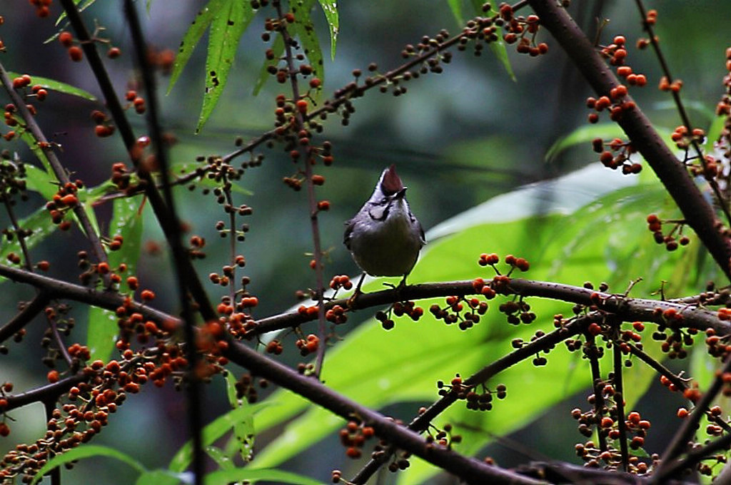 http://i.dcview.tw/gallery/201205/f0aa75444e4ea75dce0b06cb27461733.jpg