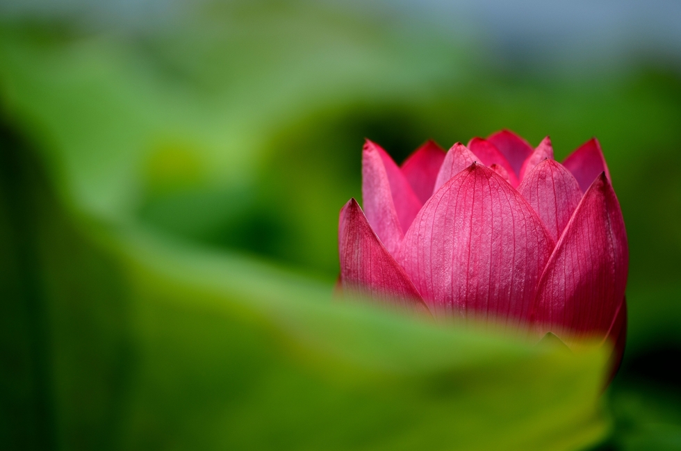 http://i.dcview.tw/gallery/201205/f35317bb48649d9a77486c9e57e08609.jpg