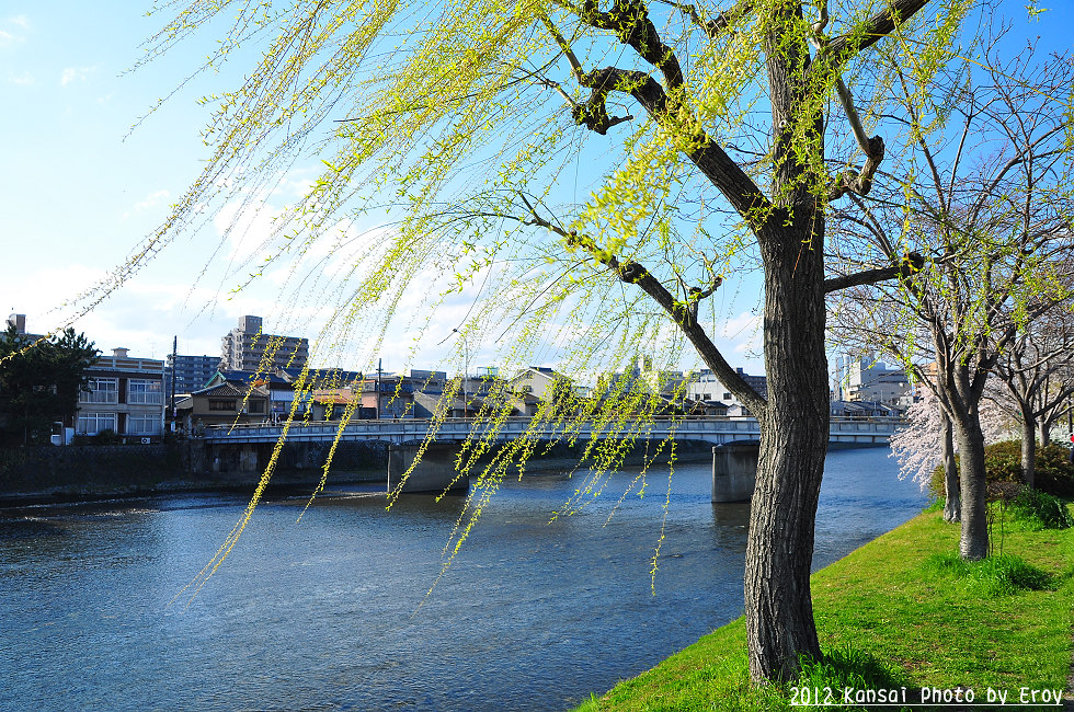 http://i.dcview.tw/gallery/201205/f6cb6064d0a856d5a319ecbeddebe467.jpg
