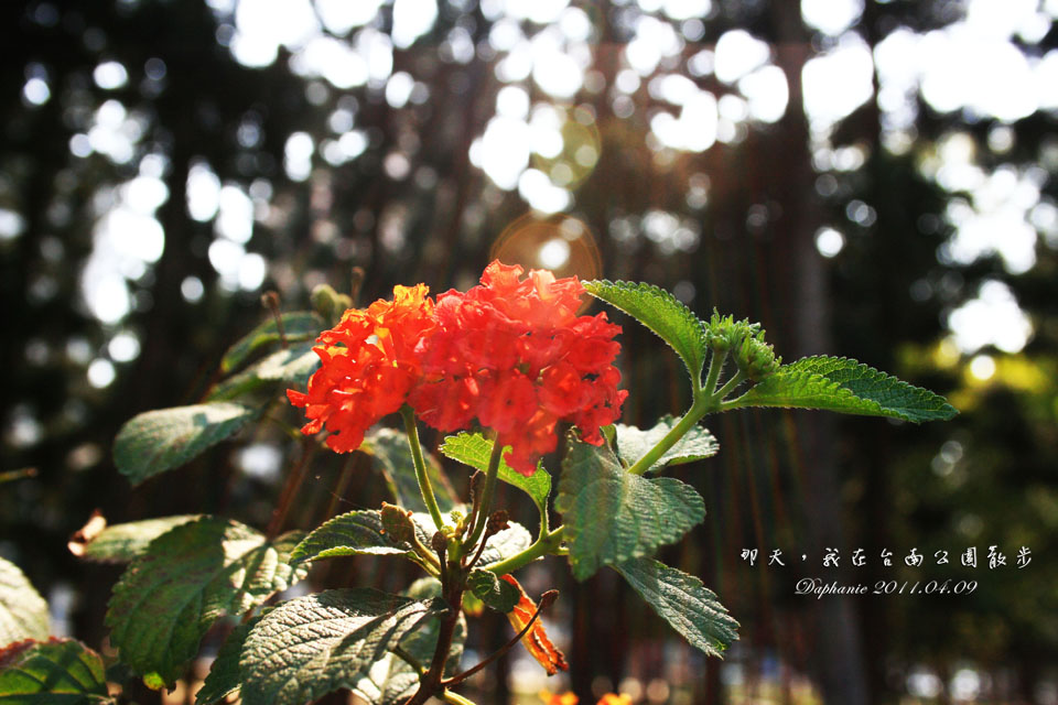 http://i.dcview.tw/gallery/201205/f9ea1e8f6231add98ef5f01813ad22c3.jpg