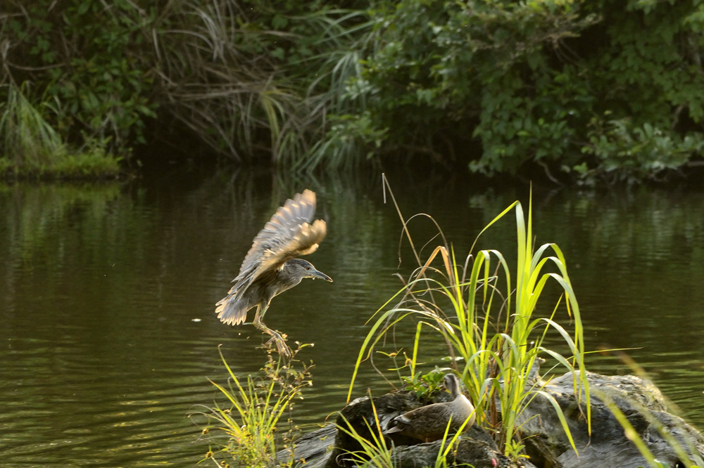 http://i.dcview.tw/gallery/201205/fafcb1744118618c3c6ee6d9335433a7.jpg