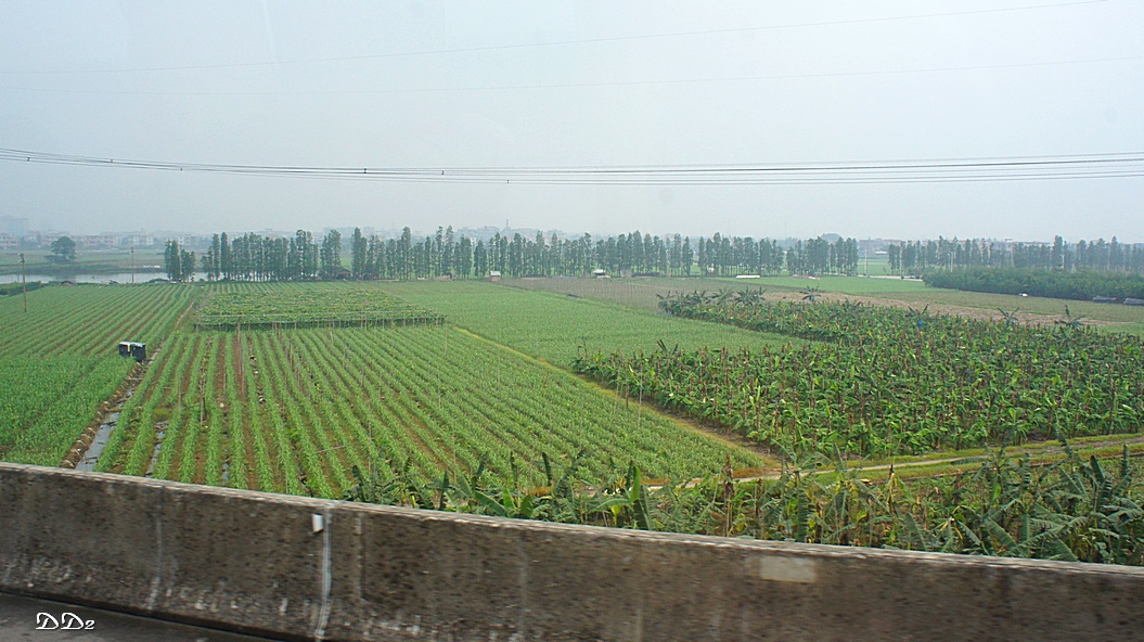 http://i.dcview.tw/gallery/201206/0192b65e95d76c6c9692edc279991147.jpg