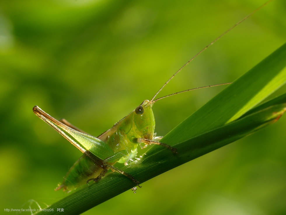 http://i.dcview.tw/gallery/201206/055d54f962672d343401c309ded29ddb.jpg