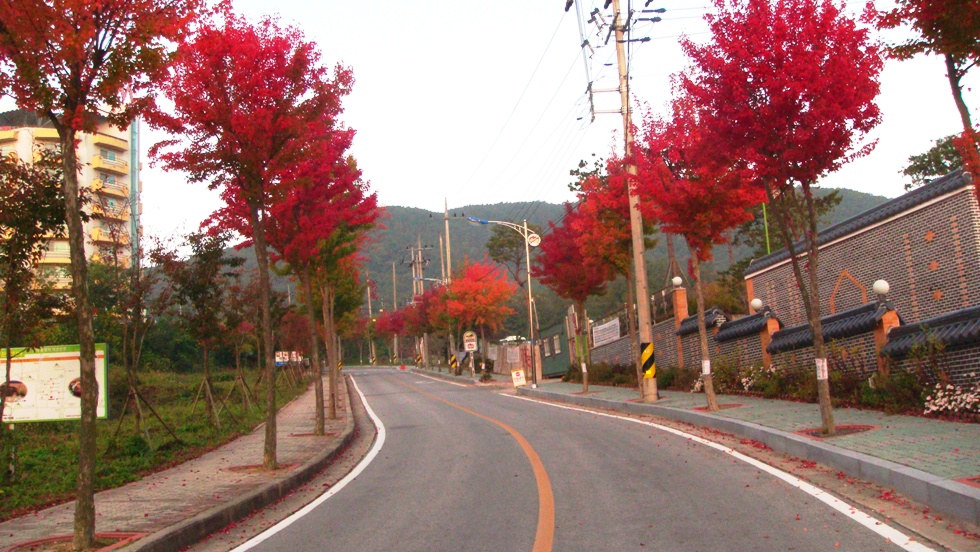 http://i.dcview.tw/gallery/201206/05febd8b9cfdaee14757eefcc2f53dbd.jpg